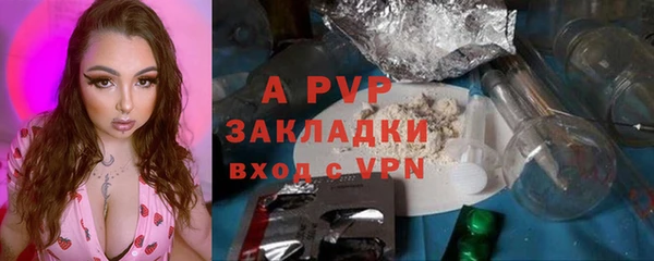 прущие грибы Новозыбков