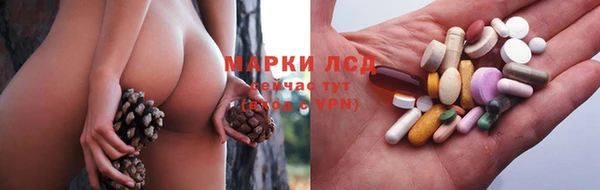 МДПВ Алзамай