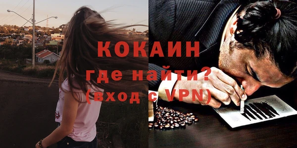 МДПВ Алзамай