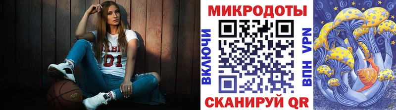 Псилоцибиновые грибы Psilocybe  Шебекино 